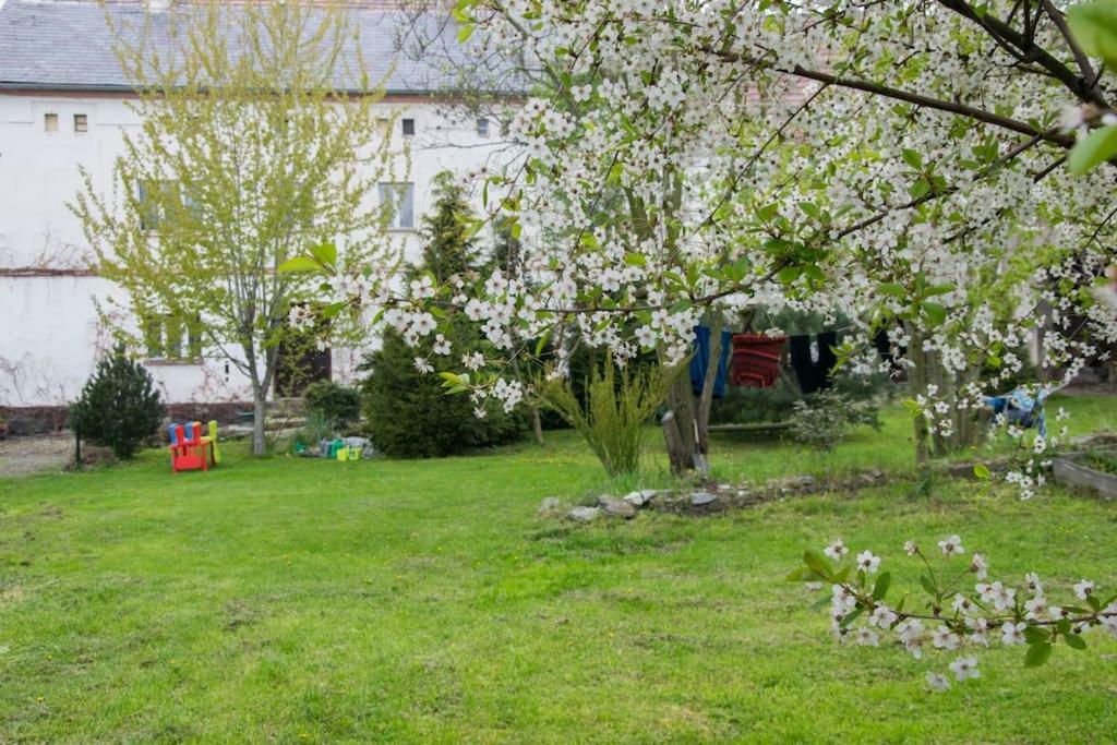Gospodarstwo U Krakusa Doboszowice Luaran gambar