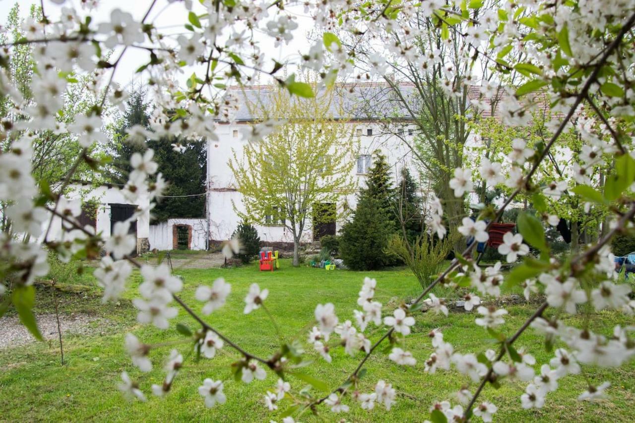 Gospodarstwo U Krakusa Doboszowice Luaran gambar